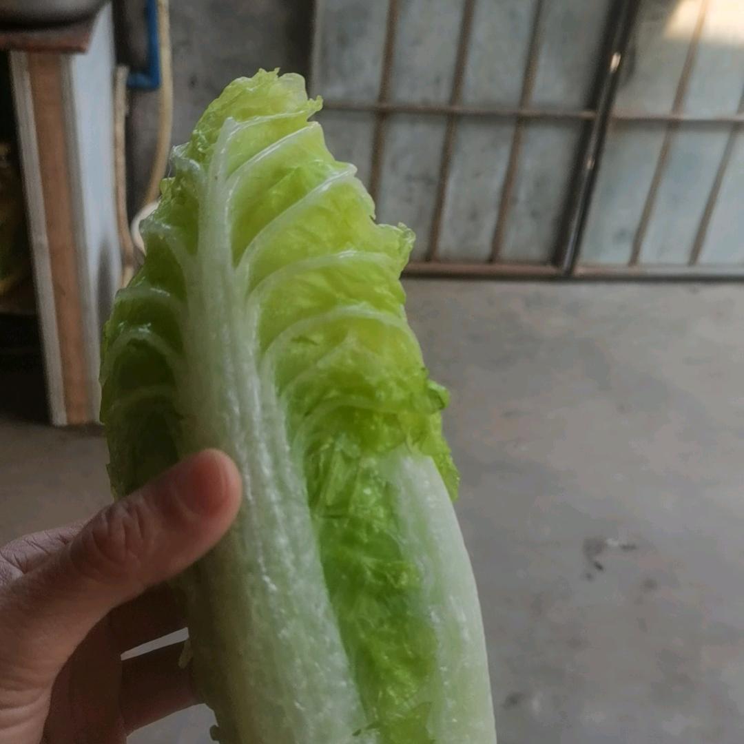 海是浪，的