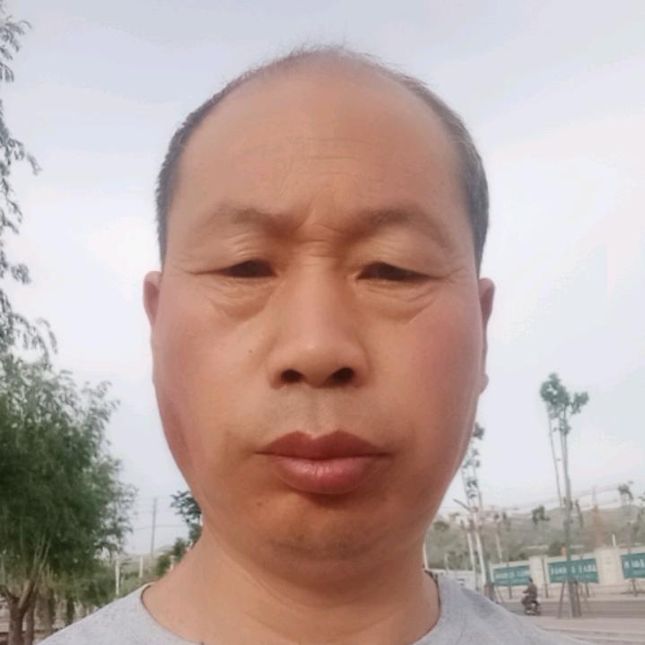 阳光四季