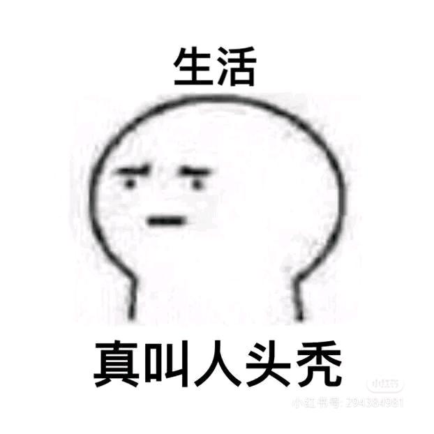 不吃香菜的吕同学