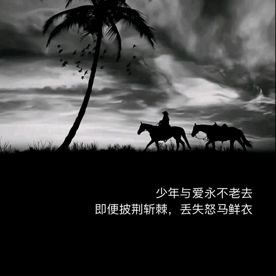 🌈🌈廿廿🌈🌈