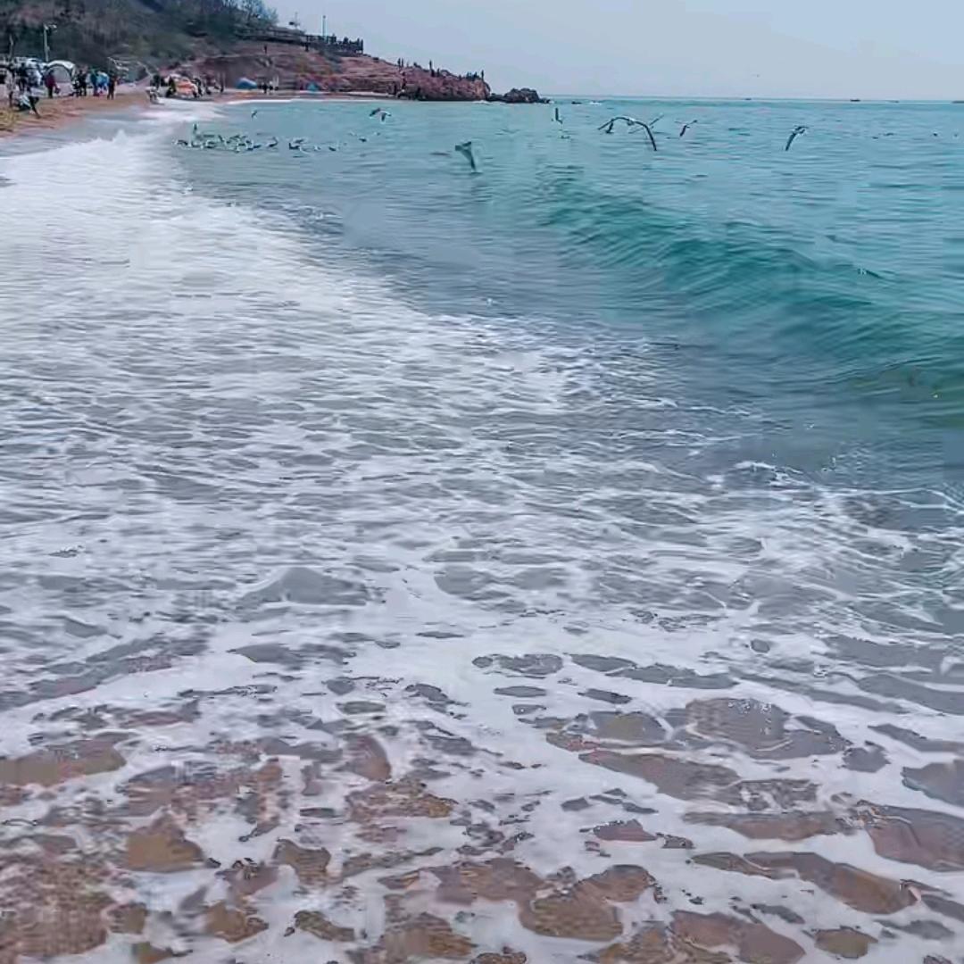 爱你一万年31616