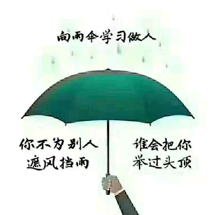 飞刀问情