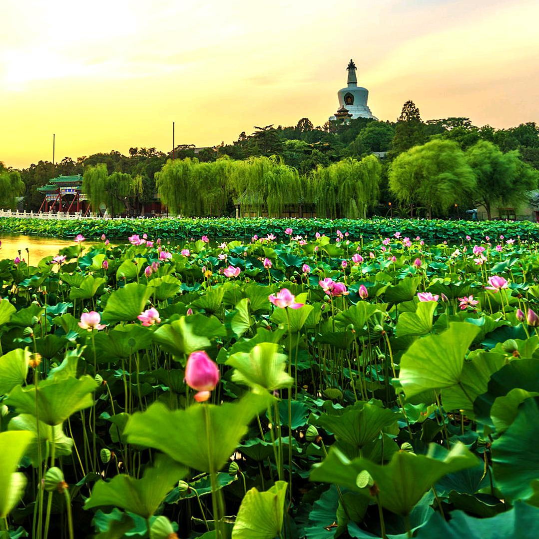 好心情🌷