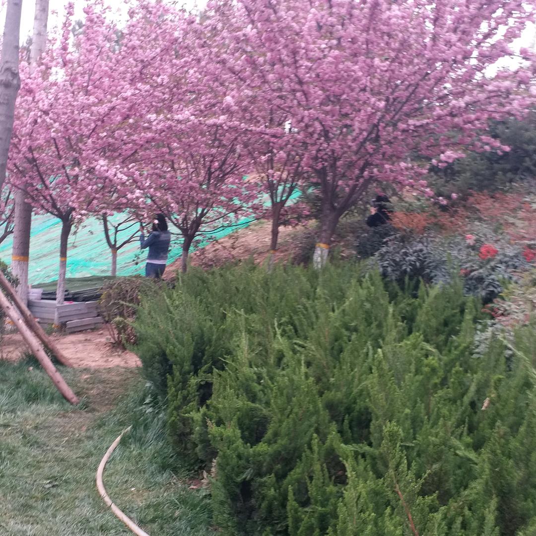 小米米专属抖音号🦄