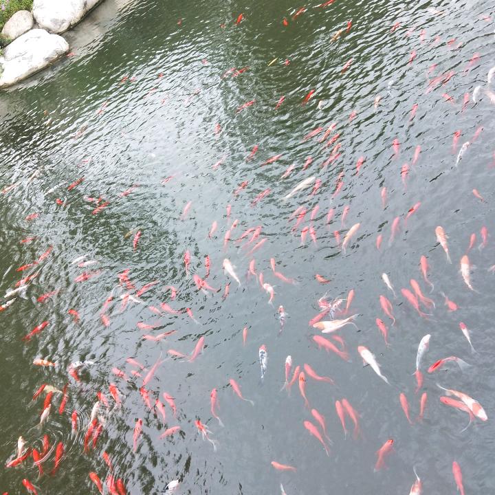 姐最宅