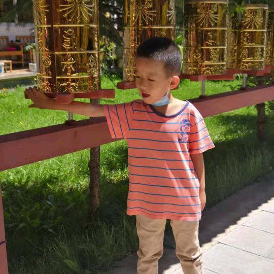 丽萍