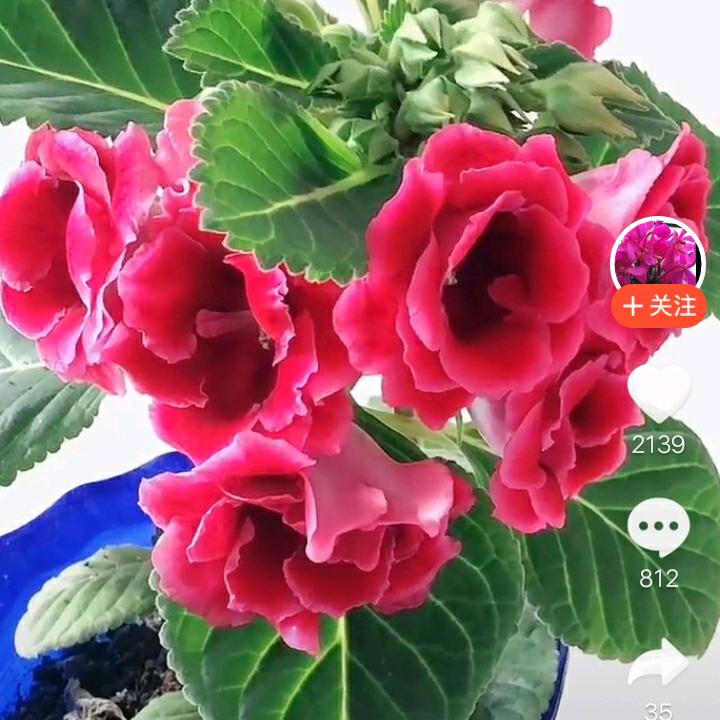 孙艳茹