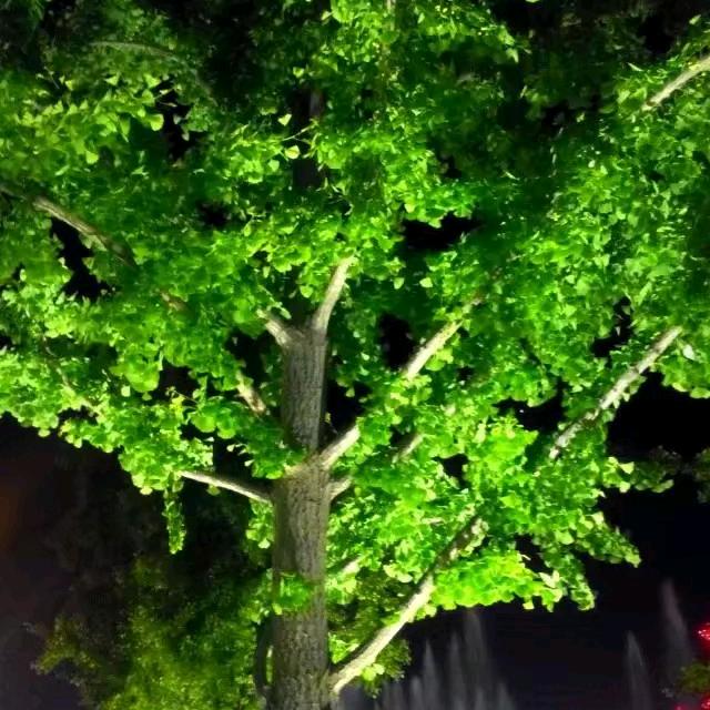 @阳