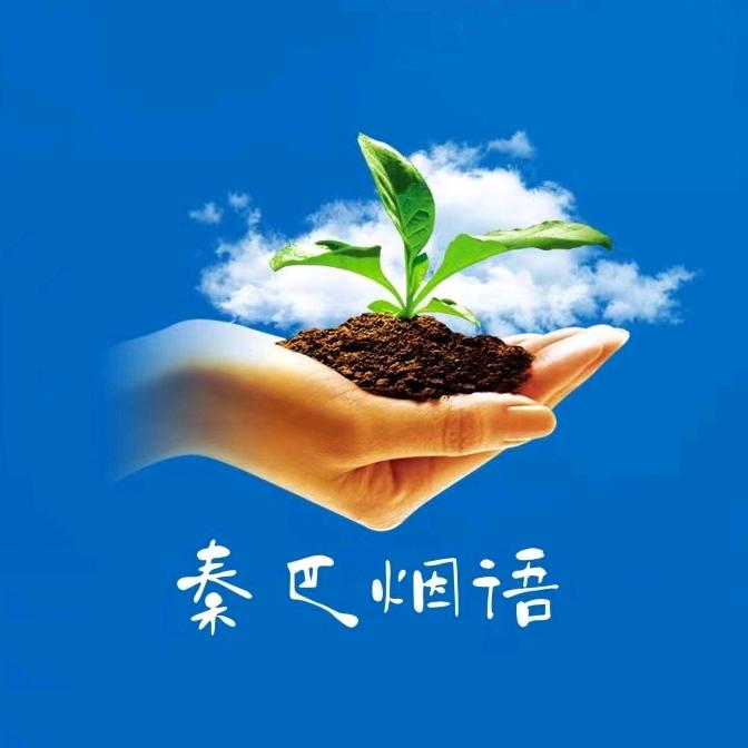 秦巴烟语