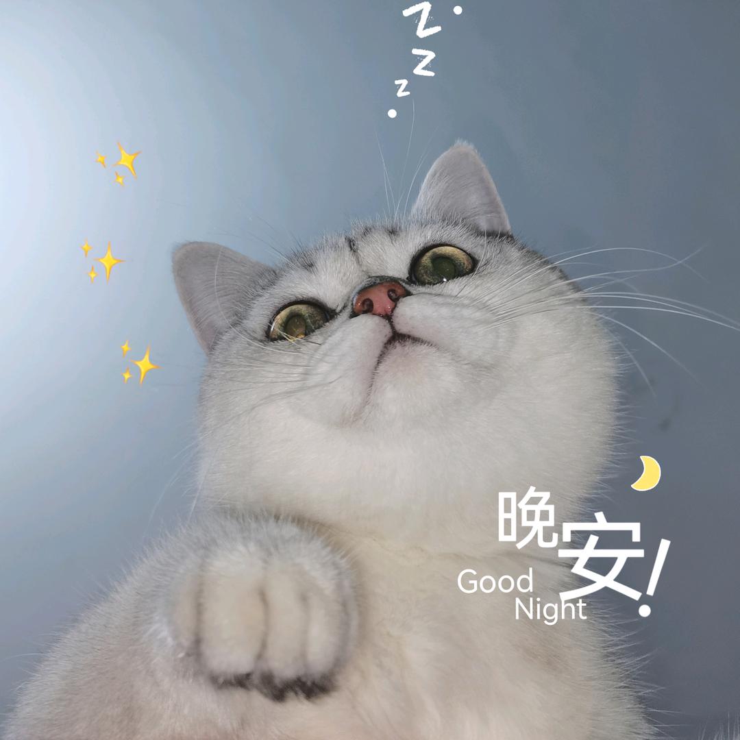穷的想叮铛