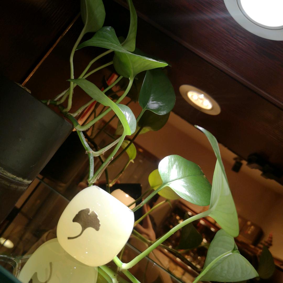 ╰☆繁华の杰☆╮