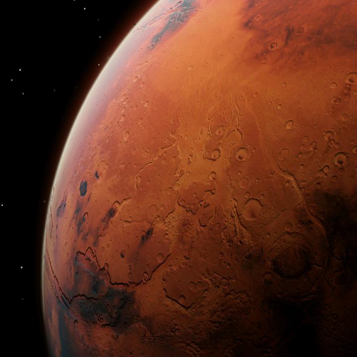 ⭐幸运小趴菜⭐