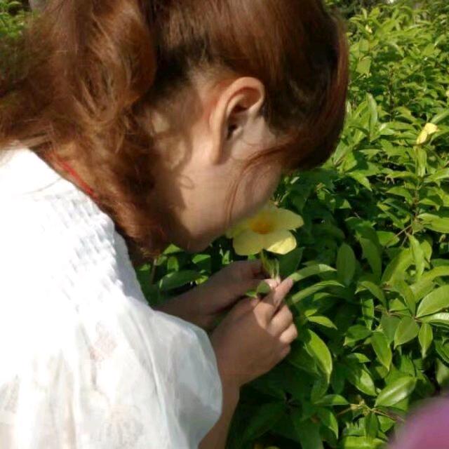 ༺昭昭᭨ᮩ如愿