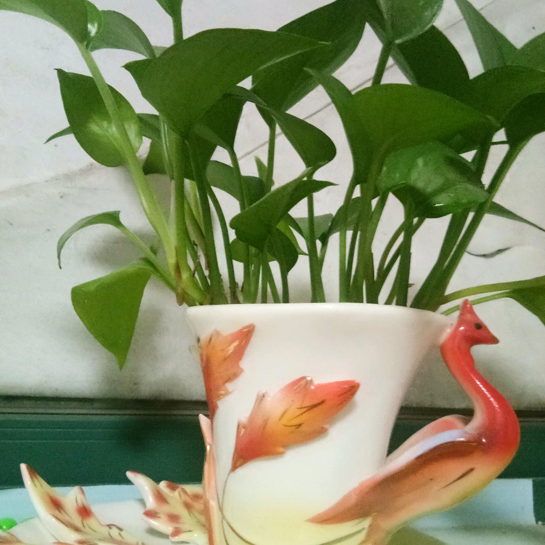 顺其自然☞