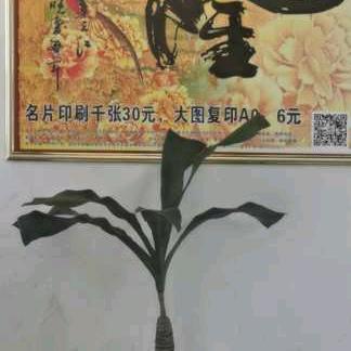 百合