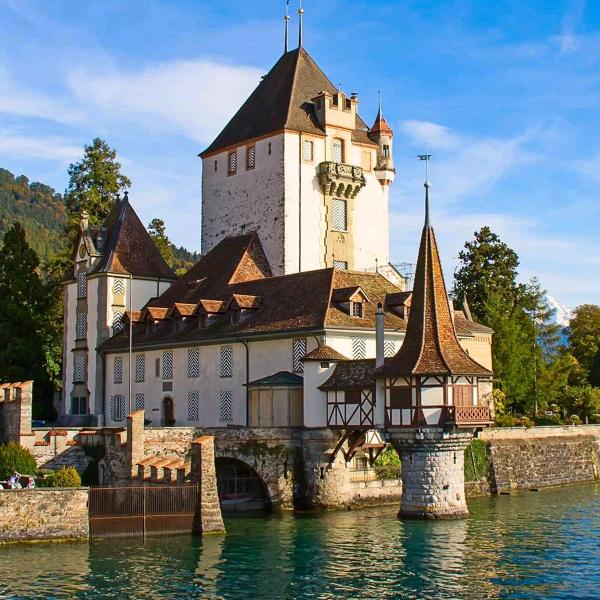 M大宅国际设计公司官方号