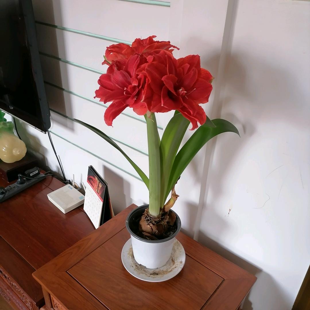 开心就好（拒绝连赞）