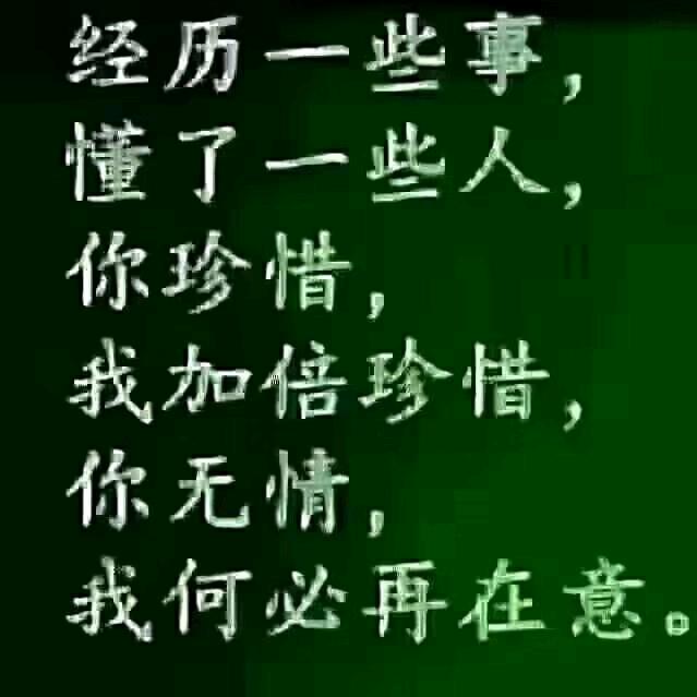乖乖猫