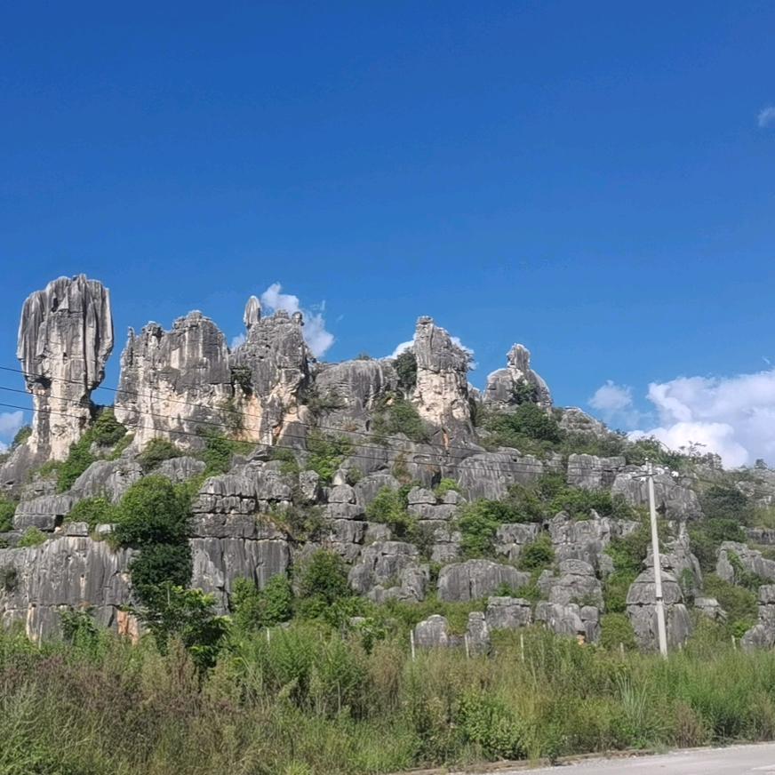 伟润唐  沈再伟