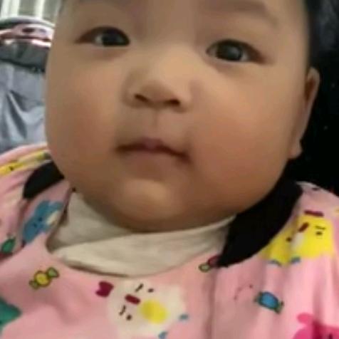 龙山苗木张本秀