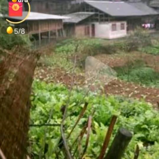 贵州牛羊肉火锅