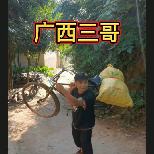 广西三哥（开货车打碟）