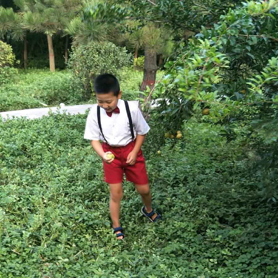 天牛兰泽云樾~肖