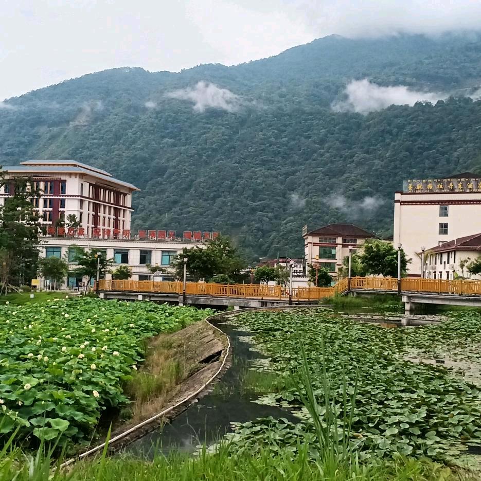 西藏旦巴