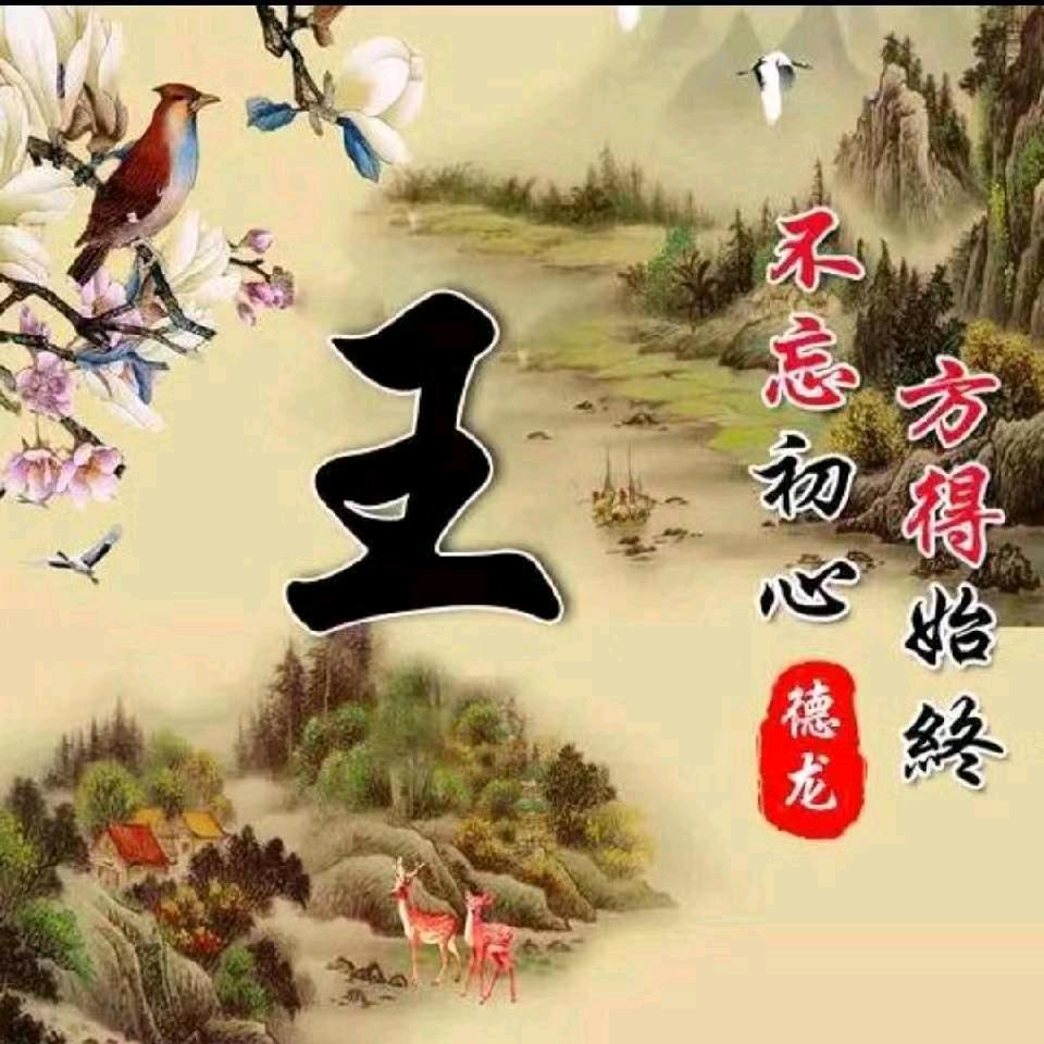 阜阳奎哥