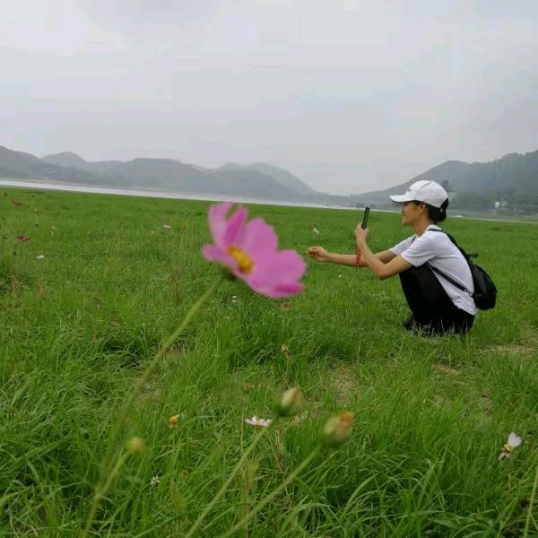 可柠