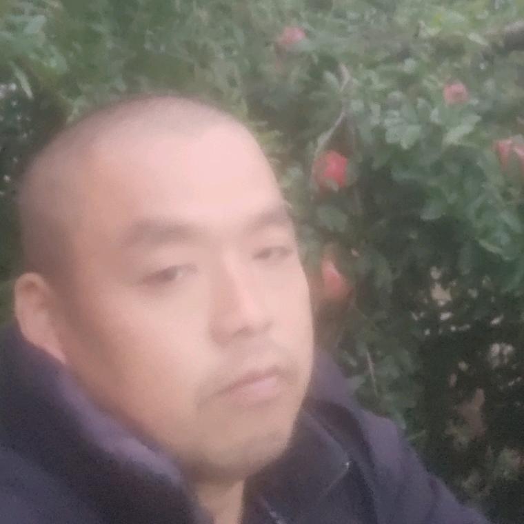 河东蓬勃