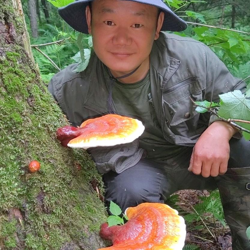 五林洞高明