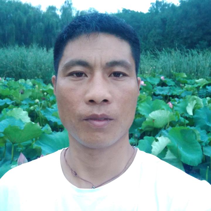 一帆风顺