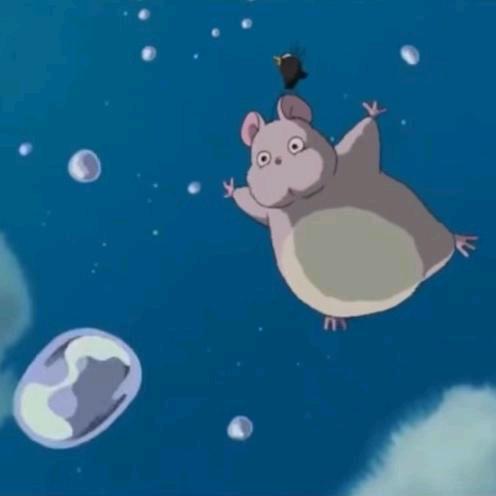 明天想吃油麦菜