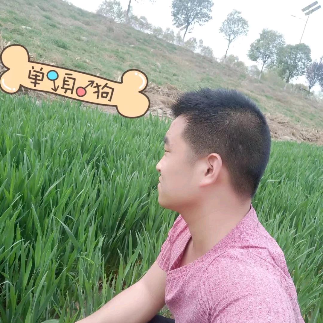 货运
