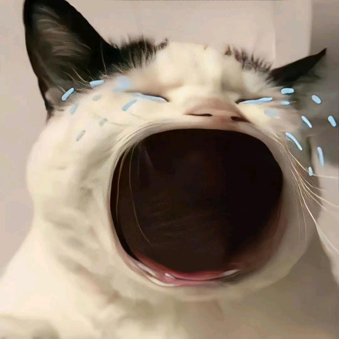 紫池桐