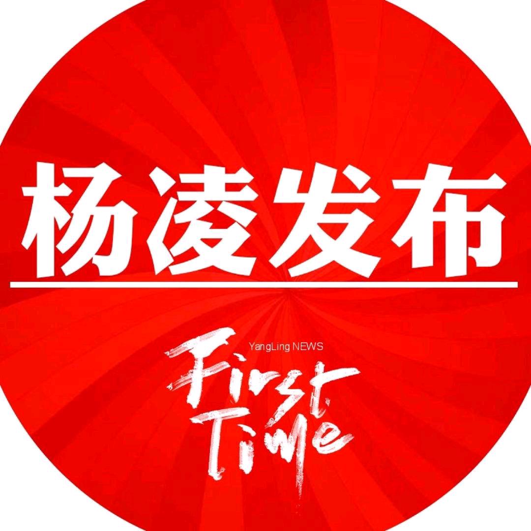 杨凌发布