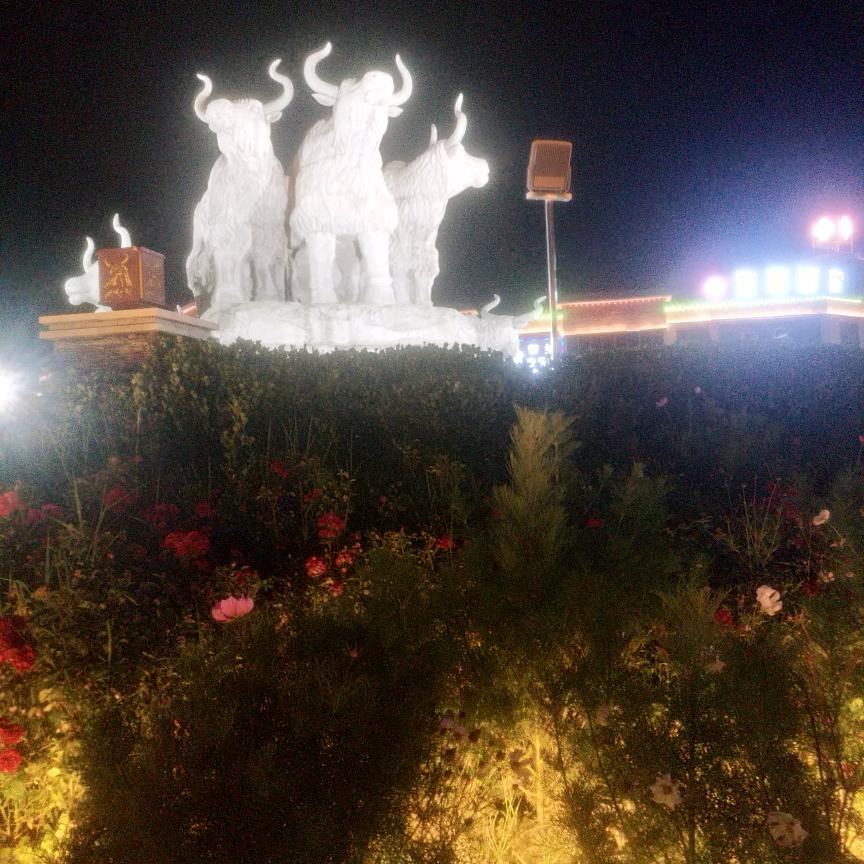 师念