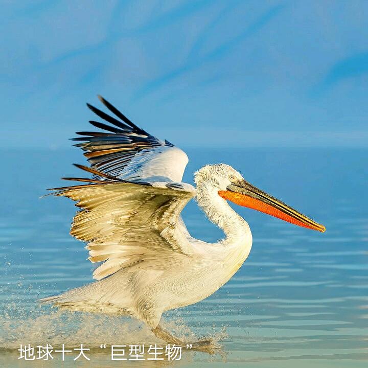 快乐奶奶