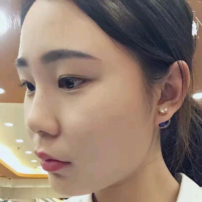 柠檬树下晨晨