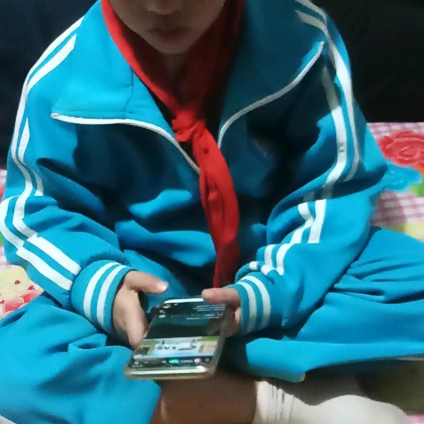 渤海苗木合作社