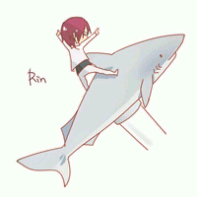 佑佑