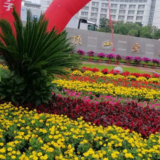 无❤️心