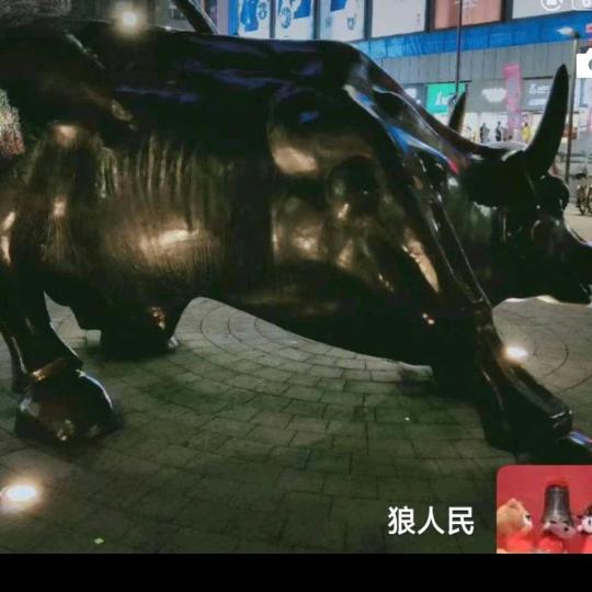 乌鸦哥905