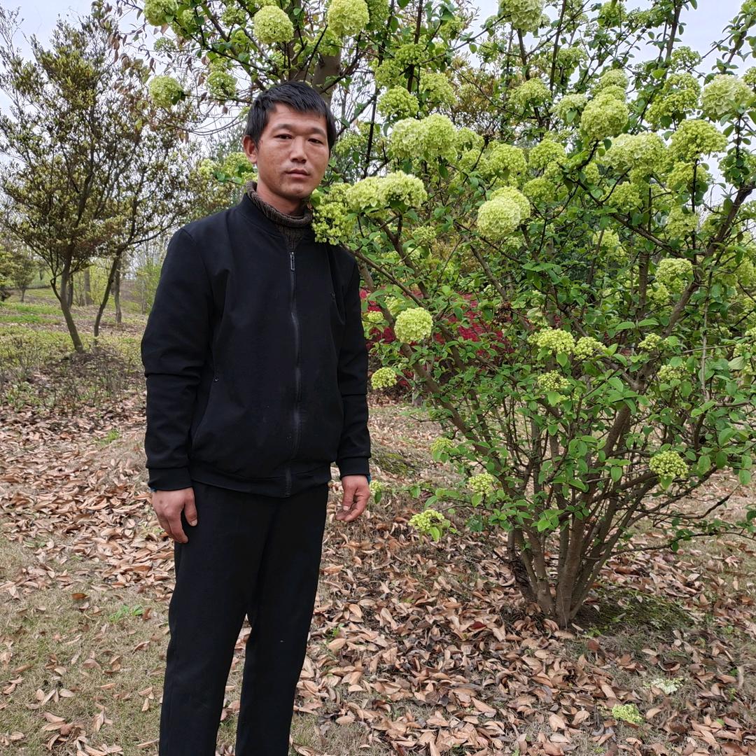 汤善涛