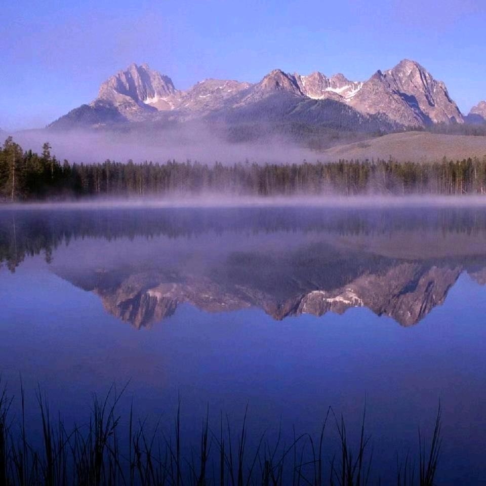 🌱莫🌱合🌱塔🌱