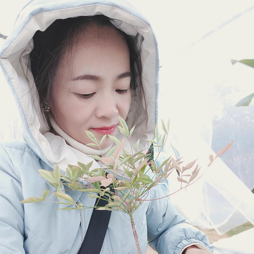 哈哈连（橱窗有好物）