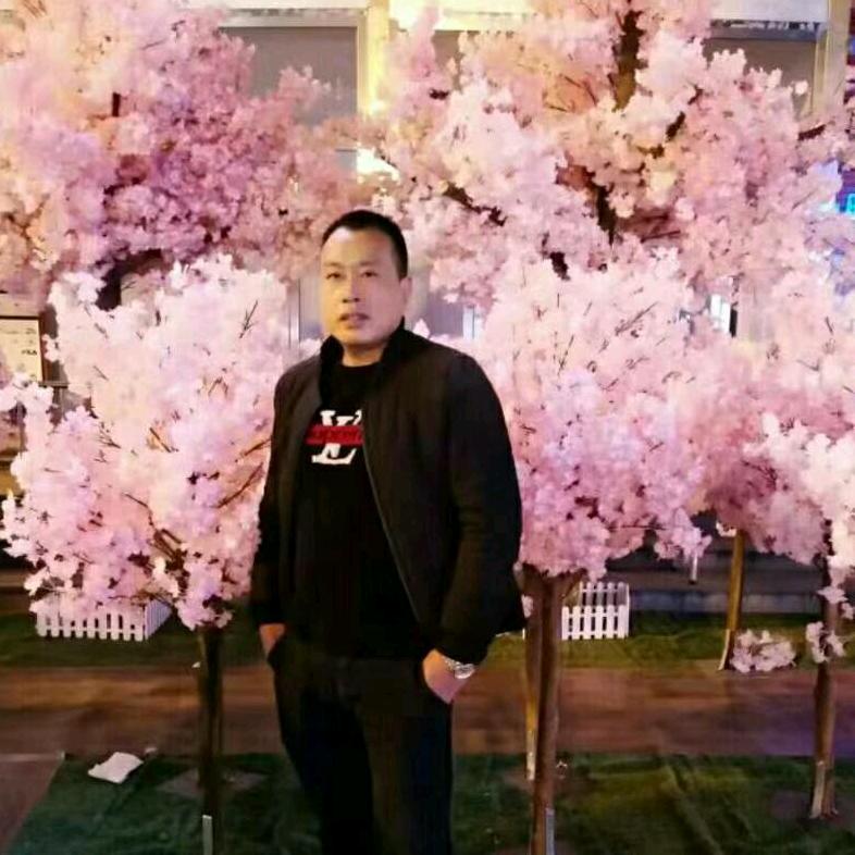 漂泊游子