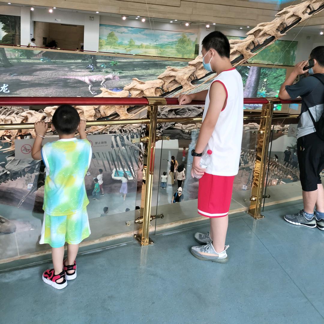 用户99654070女怕嫁错郎03117