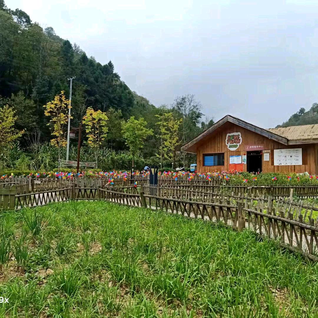 踏着帆布鞋走天下